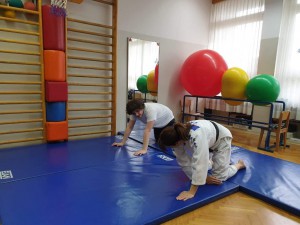 Borna 3 _424738014960888