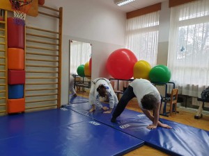 Borna 4_354099698539996