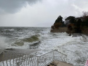 Jos Bozica 4 IMG-6b1e12a9f42f3482175cadbf13f7a335-V